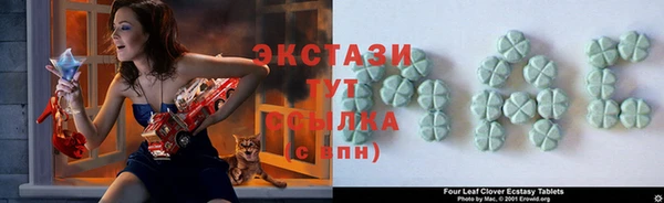 ГАЛЛЮЦИНОГЕННЫЕ ГРИБЫ Белокуриха