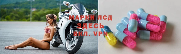 ГАЛЛЮЦИНОГЕННЫЕ ГРИБЫ Белокуриха