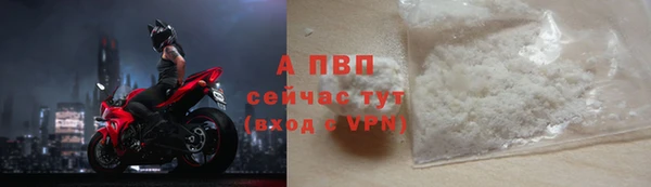 ГАЛЛЮЦИНОГЕННЫЕ ГРИБЫ Белокуриха
