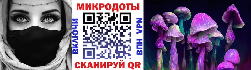 Псилоцибиновые грибы GOLDEN TEACHER  Завитинск 